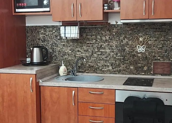 Apartment Honey Druskininkai